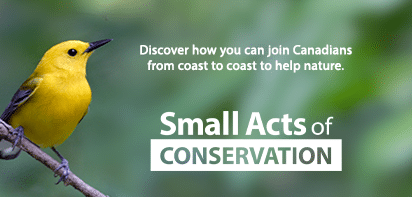 Small Acts of Conservation