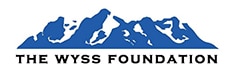 WYSS Logo Ltr Head Logo