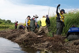 Wing Deflectors Minesing Wetlands ON Andrea Moreau NCC Thumb