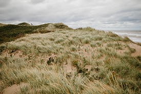 St. Peters Harbour, PEI. (Photo Jenna Rachelle)