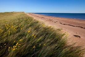 Conway Sandhills Prince Edward Island John Sylvester Thumb