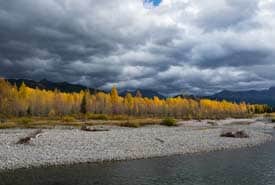 Elk Valley Heritage Mt Broadwood Lyle Grisdale Thumb