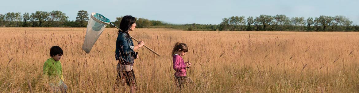 Forks Prairie Garden
