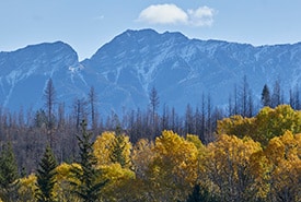 Kootenay River Ranch Expansion 2 Colin Way Thumb