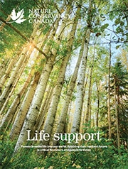 Ncc Mag Spring 2025 En 180px Custom