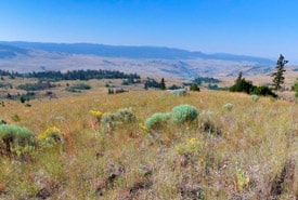 Warner Philip Conservation Area Bc Tim Ennis Thumb