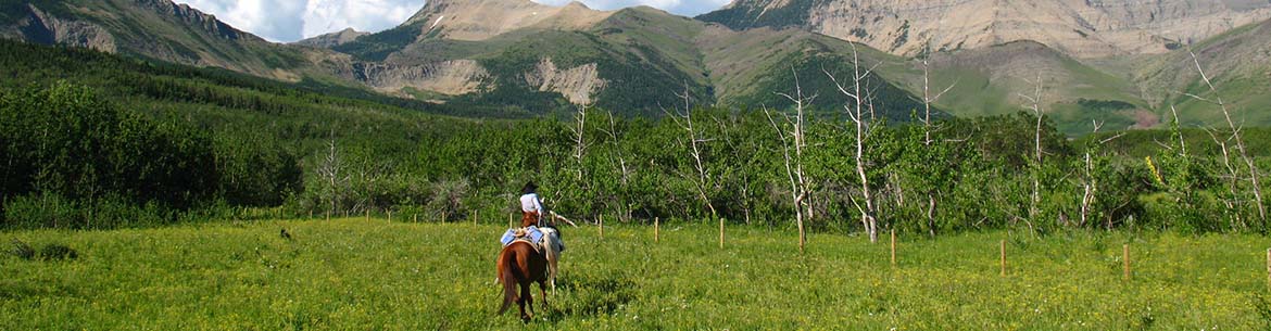 Waterton Marr Jack Property