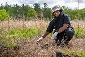 CV Hazel Bird ON Chelsea Marcantonio NCC Staff Thumb