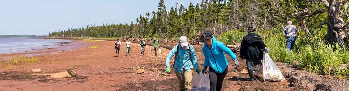 NCC Shoreline Clean Up