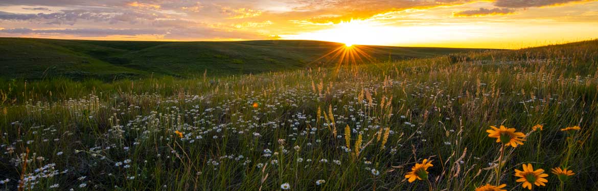 Old Man On His Back Photo By Jason Bantle Feature Banner