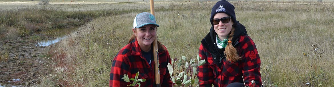Planting Shrubs At Molde Photo By NCC Banner Sm