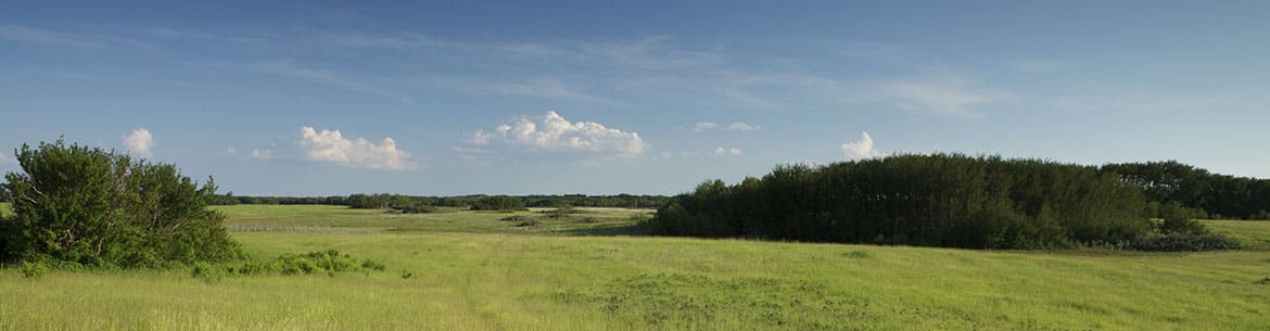 Prairie at Asquith North