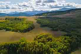 Bob Creek Ranch Sean Feagan Thumb