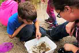 Summer Day Camp 2019