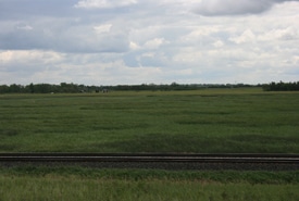 Douglas Marsh Ncc Thumb