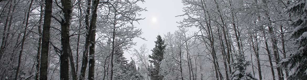 Elk Glen Winter Ncc Banner Sm