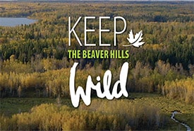 Keep The Beaver Hills Wild Thumb