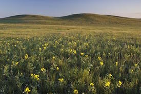 Omb Branimir Gjetvaj Ncc Sk Thumb