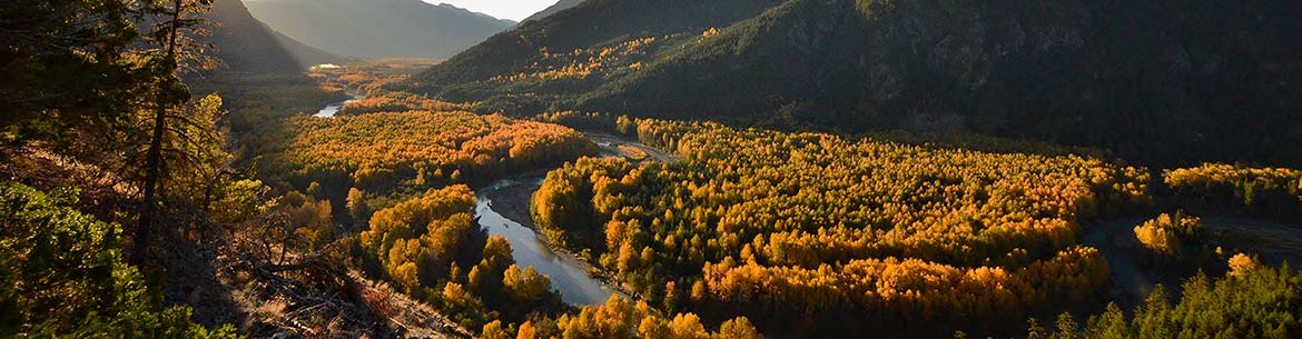 Snowshoe Creek Lookout Harvey Thommasen Bc Banner Sm