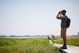 2018 07 05 Visite Des Iles Martin Beaulieu 11 Thumb