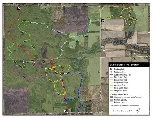 Backus Block Trail System Map Forweb