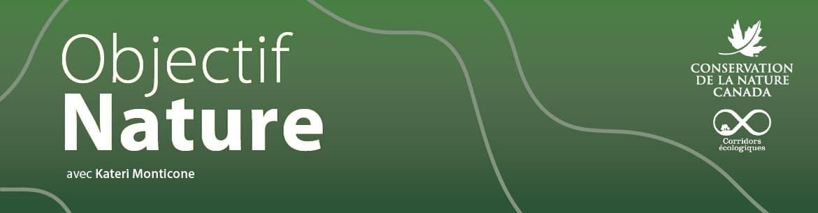 Objectif Nature