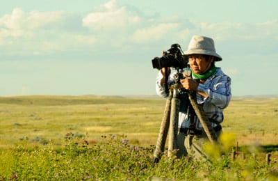 Gail Chin Mark Taylor Custom