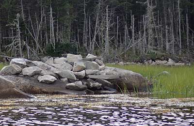 GunnersIsland Musquodoboit Harbour NCC Custom