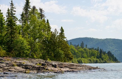 ON PowderIslands Mike Dembeck ON