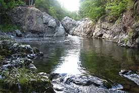 Riverside Albert Stream NCC Thumb