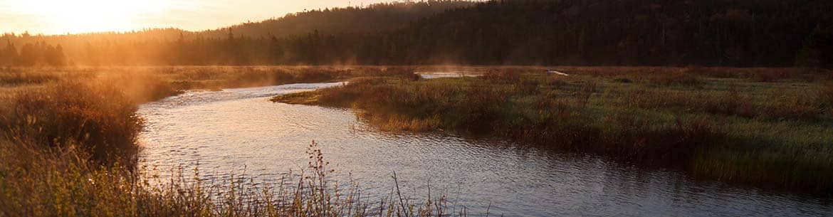 Salmonier River Fog Mike Dembeck Banner Sm