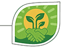 Accelerator Infographic 01 04