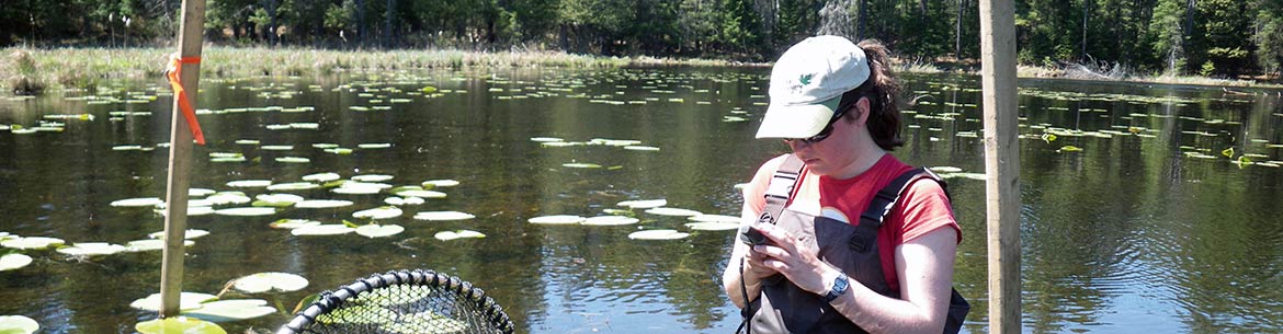 Blandings Turtle Monitoing Qc Ncc Banner Sm