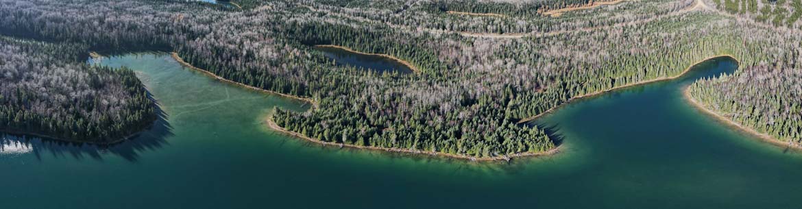 Boreal Wildlands Ncc Banner Sm