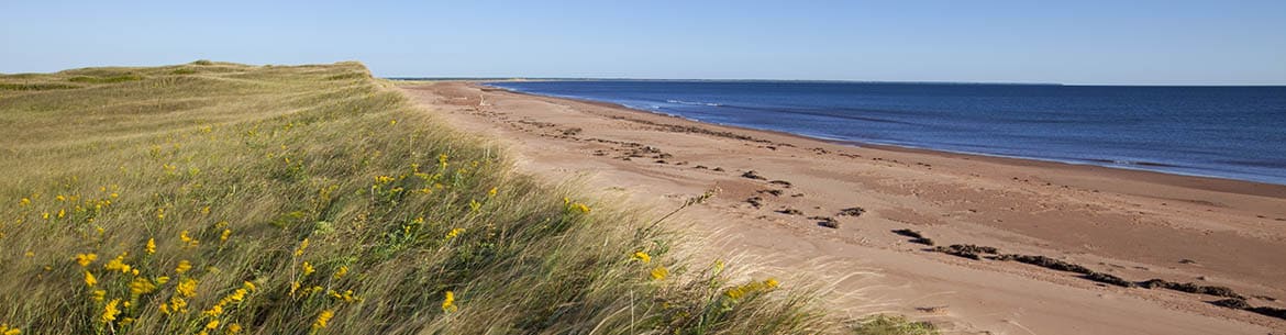 sand hills, Conway Narrows, Prince Edward Island, Nature Conservancy of Canada