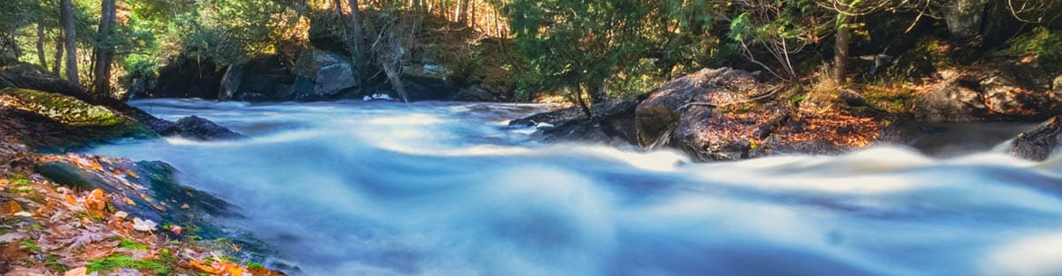 Hastings Wildlife Junction
