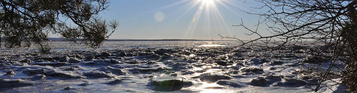 Jean Paul Riopelle Nature Reserve Ncc Banner Sm