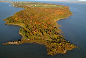 Pointe Aux Pins Claude Duchaine Thumb