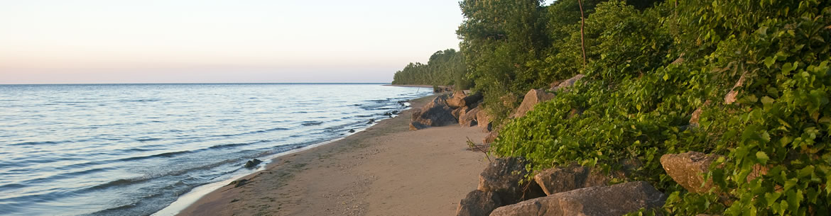 Shore Of The Novatney Property Pelee Island