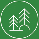 Trees Icon