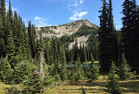 Darkwoods, West Kootenay, BC (Photo by NCC)