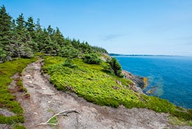 Gaff Point, NS (Photo Andrew Herygers/NCC)