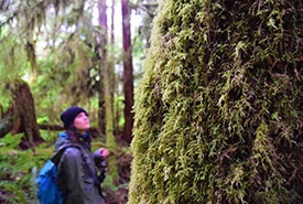 Rivers Inlet Central Coast BC NCC By Jocelyn Wood Thumb