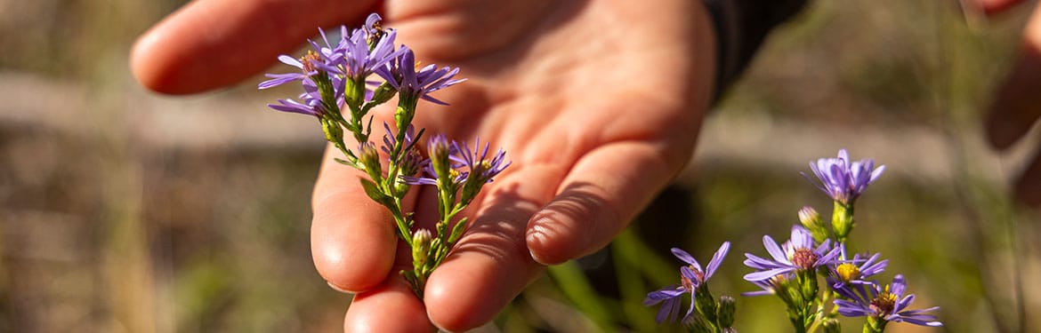 Skookumchuck Prairie Jolene Rudisuela Banner Med