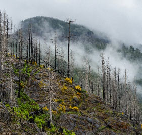 Vancouver Island Sq Getty Images Low Res Custom