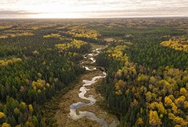 Boreal Wildlands, ON (Photo by Adam Bialo)