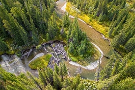Crowsnest Pass, AB (Photo by Sean Feagan/NCC staff)