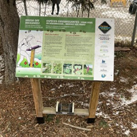 At places like the Lincoln Wetland site near Fredericton, New Brunswick, NCC installed boot brushes, an effective way of removing potential invasive plant seeds, for visitors before they hit the trail and before they leave the site. (Photo Jennifer White/NCC)