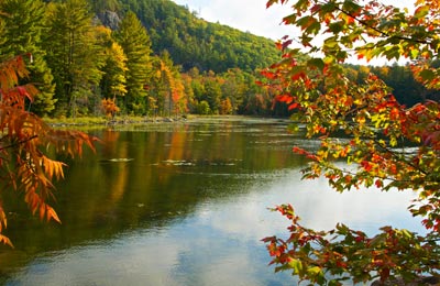 Alfred Kelly Reserve Don Dabbs Custom