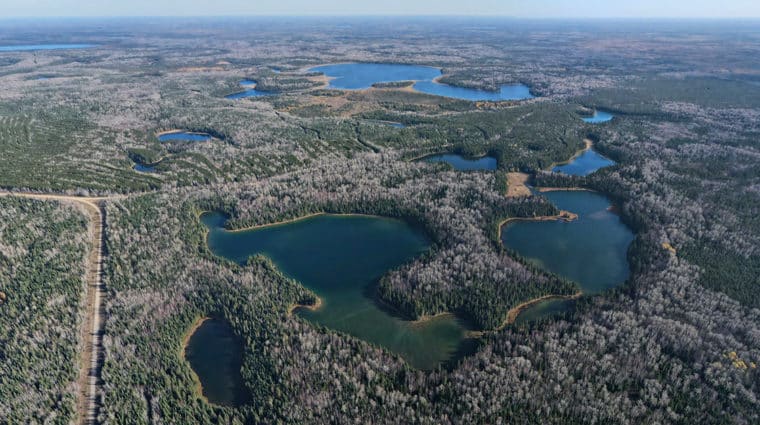 Terres boréales, Ont. (Photo CNC)